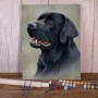 Labrador Noir au Regard Noble Peinture Par Numéros Chiens