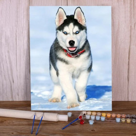 Husky en Balade Hivernale Peinture Par Numéros Chiens