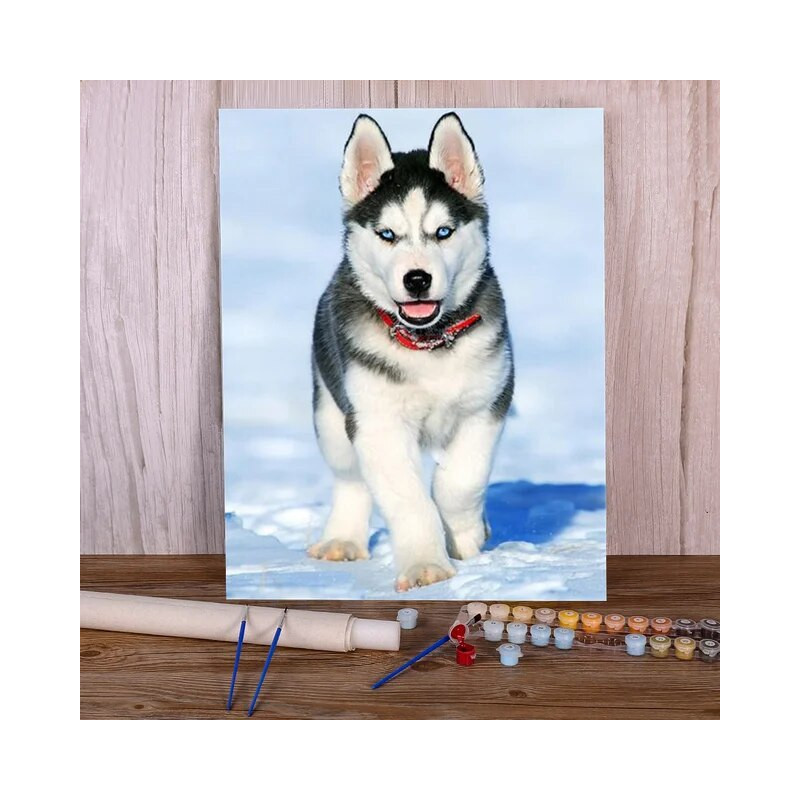 Resultat final du tableau Husky en Balade Hivernale