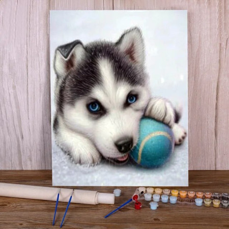 Chiot Husky Joueur à la Balle Bleue Peinture Par Numéros Chiens