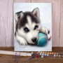 Chiot Husky Joueur à la Balle Bleue Peinture Par Numéros Chiens