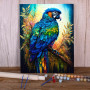 Ara Galactique Peinture Par Numéro Oiseaux