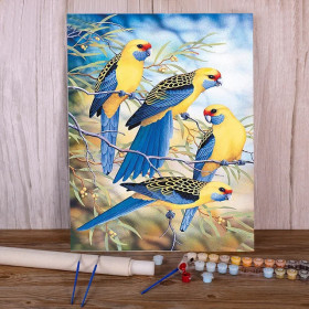 Perruches Australiennes Peinture Par Numéro Oiseaux
