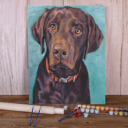 Labrador Chocolat au Collier Orange Peinture Par Numéros Chiens