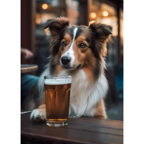 Collie au Bar : Moment de Détente Peinture Par Numéros Chiens