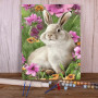 Lapin prairie fleurs jardin printemps Peinture par Numéro Enfants