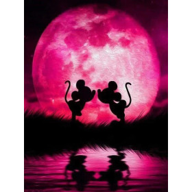 Lever de Lune Rose Peinture par Numéro Disney