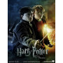 Harry et Ron : Le Baroud d'Honneur des Sorciers Peinture par Numéro Harry Potter