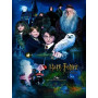 Harry Potter : Le Poudlard Express et l'École des Sorciers Peinture par Numéro Harry Potter