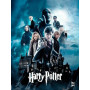 Harry Potter : L'Affrontement Final à Poudlard Peinture par Numéro Harry Potter