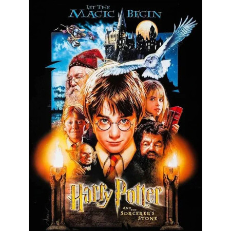 Harry Potter à l'École des Sorciers : L'Affiche des Débuts Peinture par Numéro Harry Potter