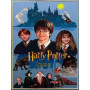 Harry Potter à l'École des Sorciers : L'Affiche aux Mille Détails Peinture par Numéro Harry Potter