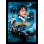 Harry Potter à l’École des Sorciers Affiche de la Saga Peinture par Numéro Harry Potter