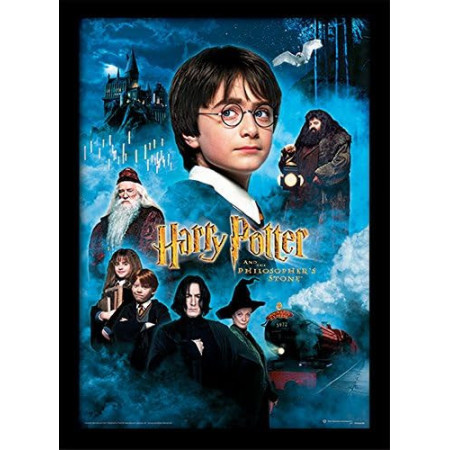 Harry Potter à l’École des Sorciers Affiche de la Saga Peinture par Numéro Harry Potter