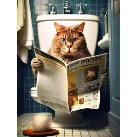 Chat aux Toilettes Peinture par Numéro Humoristique