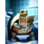 Tortue Philosophe Peinture par Numéro Humoristique
