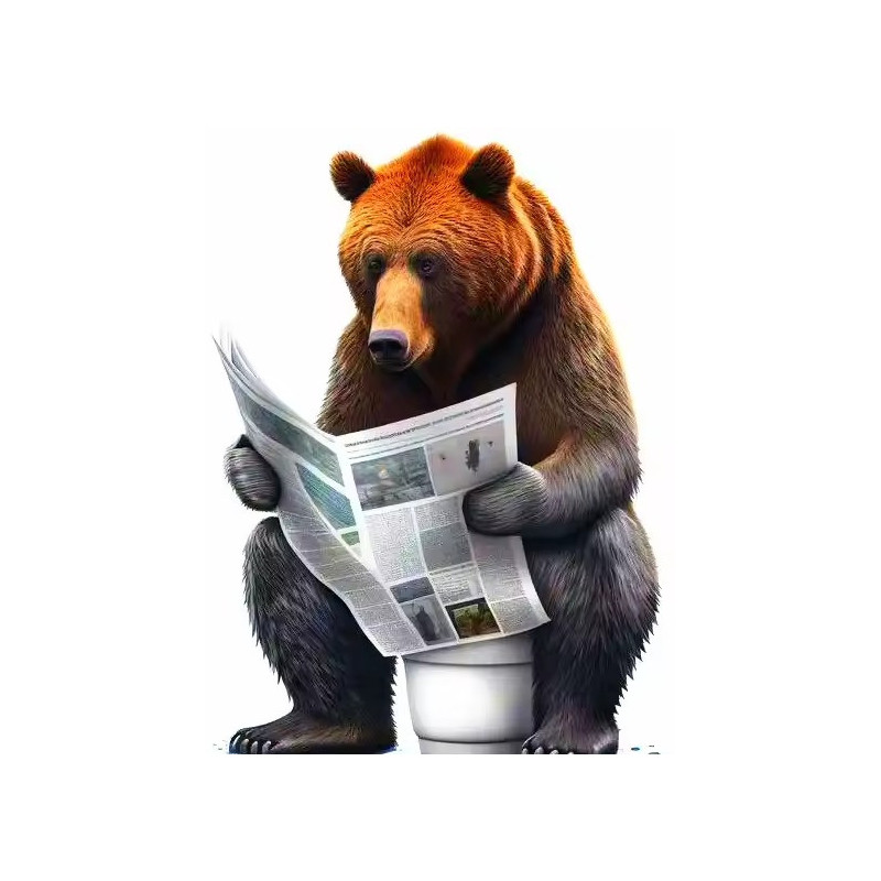 Résultat final de la peinture par numéro Ours Brun aux toilettes