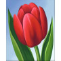 Tulipe Rouge Éclatante : Élégance et Simplicité Peinture par Numéro Saint-Valentin