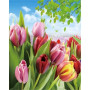 Tulipes de Printemps Multicolores Peinture Par Numéro Fleurs