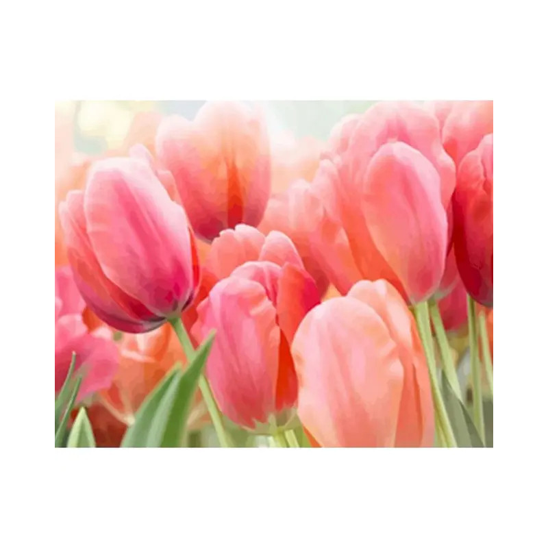 Résultat final de la peinture par numéro jardin de tulipes détaillé