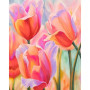 Champ de Tulipes | Tableau Paysage Facile à Réaliser Peinture Par Numéro Fleurs