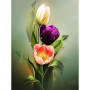 Tulipes Royales | Chef-d'Œuvre Floral à Créer Peinture Par Numéro Fleurs