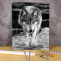 Loup Sauvage en Noir & Blanc Peinture par Numéro Loup