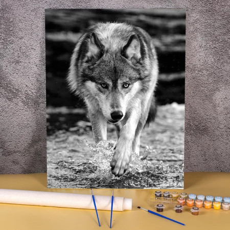 Loup Sauvage en Noir & Blanc Peinture par Numéro Loup