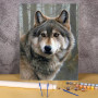 Portrait du Loup Gris au Regard Intense Peinture par Numéro Loup