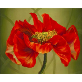 Coquelicots Impressionnistes | Hommage à Monet Peinture Par Numéro Fleurs