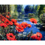 Coquelicots et Bleuets | Harmonie des Champs Peinture Par Numéro Fleurs