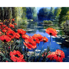 Coquelicots et Bleuets | Harmonie des Champs Peinture Par Numéro Fleurs