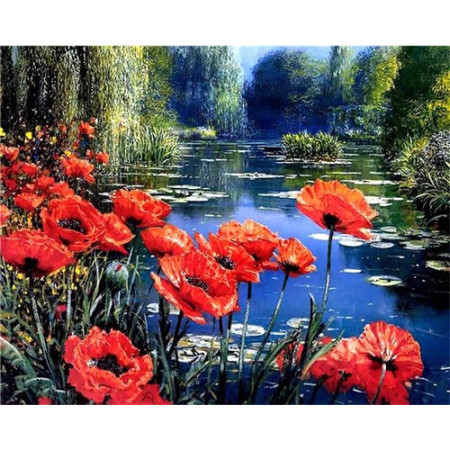 Coquelicots et Bleuets | Harmonie des Champs Peinture Par Numéro Fleurs