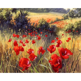 Coquelicots Sauvages | Liberté Écarlate Peinture Par Numéro Fleurs