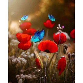 Coquelicots et Papillons | Valse Printanière Peinture Par Numéro Fleurs