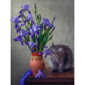 Kit Chat Persan et Iris | Tableau DIY Facile et Relaxant Peinture Par Numéro Chats