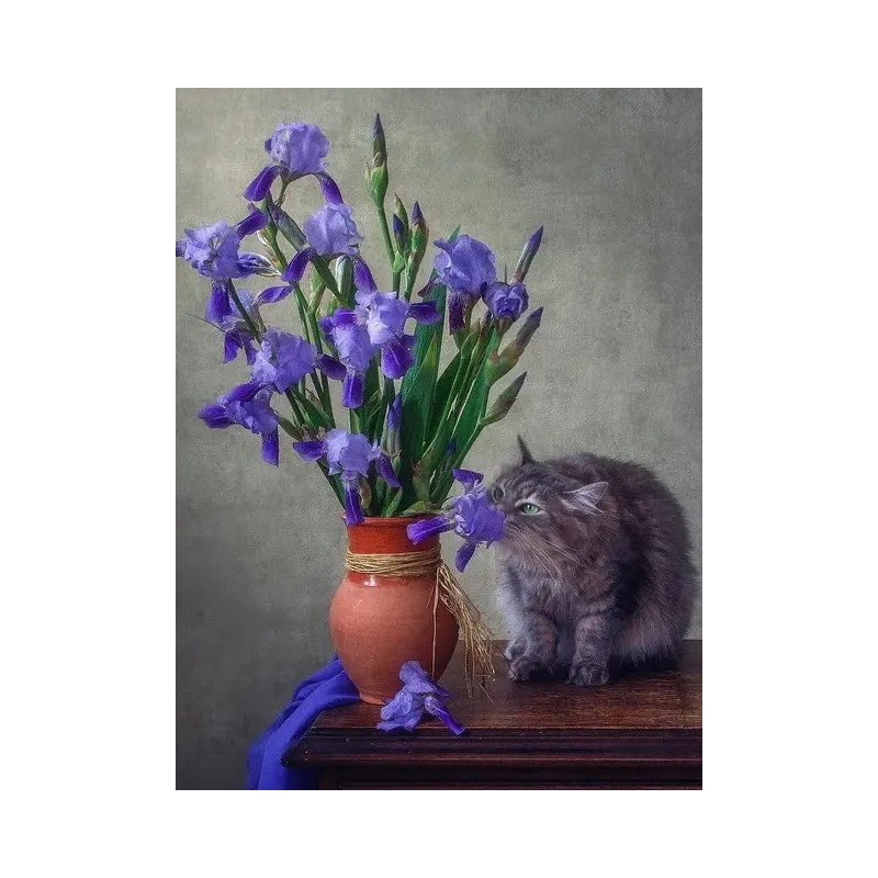 Resultat final du tableau Kit Chat Persan et Iris | Tableau DIY Facile et Relaxant