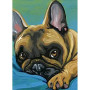 Bouledogue Français au Regard Tendre Peinture Par Numéros Chiens