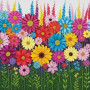 Champ de Fleurs Multicolores Peinture Par Numéro Fleurs
