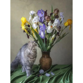 Chat Persan Rêveur et Iris Multicolores | Tableau DIY Poétique et Inspirant Peinture Par Numéro Chats