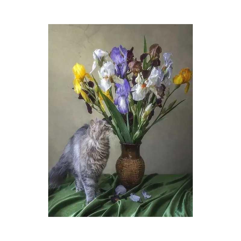 Resultat final du tableau Chat Persan Rêveur et Iris Multicolores | Tableau DIY Poétique et Inspirant