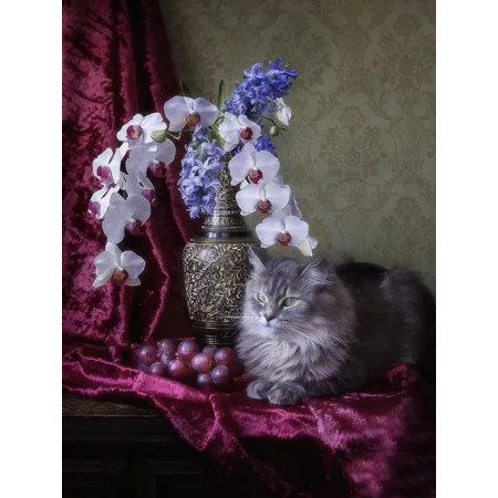 Tableau Chat Persan et Orchidées Bleues Peinture Par Numéro Chats