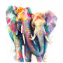 Duo d'Éléphants Arc-en-ciel Peinture Par Numéro elephant
