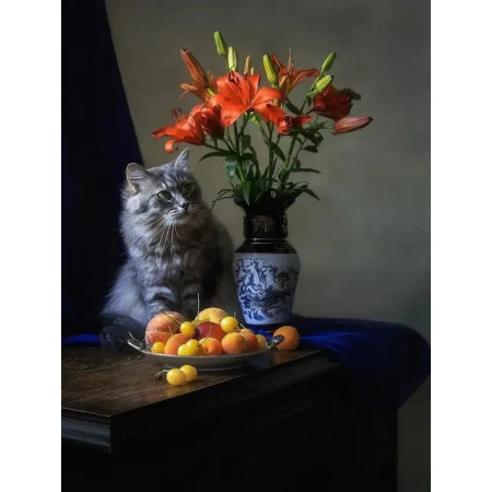 Chat et Lys Orangés sur Fond Vintage Peinture Par Numéro Chats