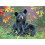 Maman Ours et Ourson Douceur d'Automne Peinture par numero automne