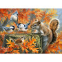 Écureuil et Oiseaux Festin d'Automne Peinture par numero automne