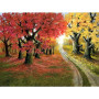 Forêt d'Automne Chemin Bicolore Peinture par numero automne