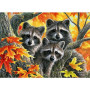 Ratons Laveurs Trio d'Automne Peinture par numero automne