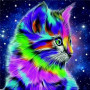 Chat Cosmique Tableau Félin Stellaire Peinture Par Numéro Chats