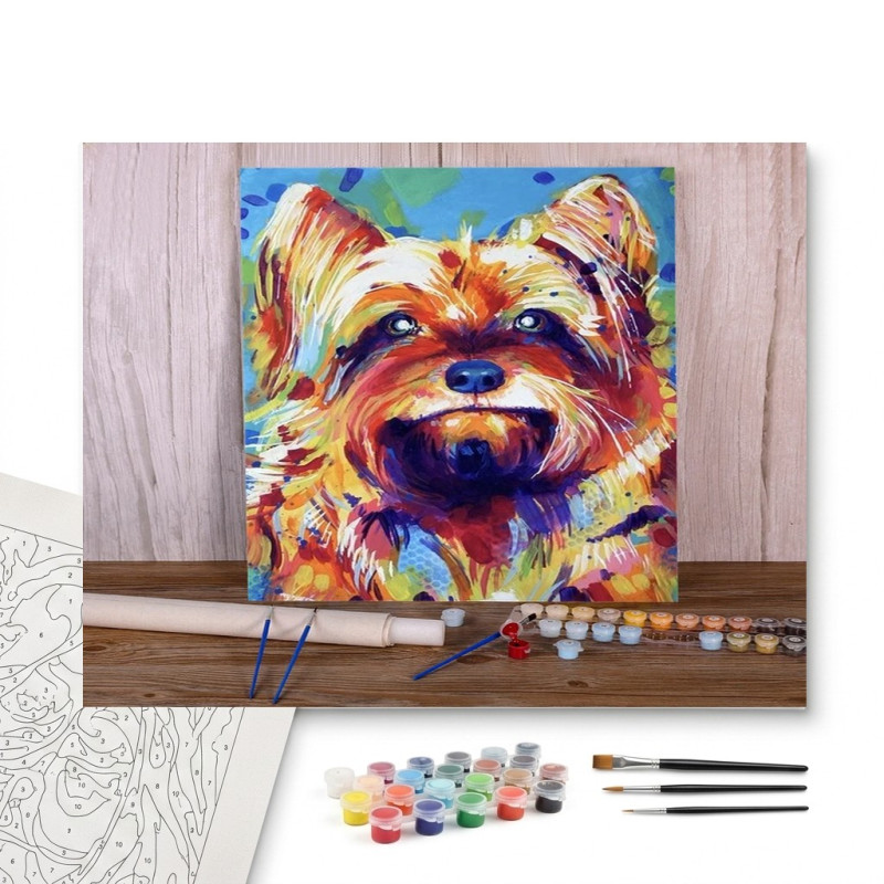 Contenu complet du kit peinture par numero Yorkshire Terrier Regard Coloré